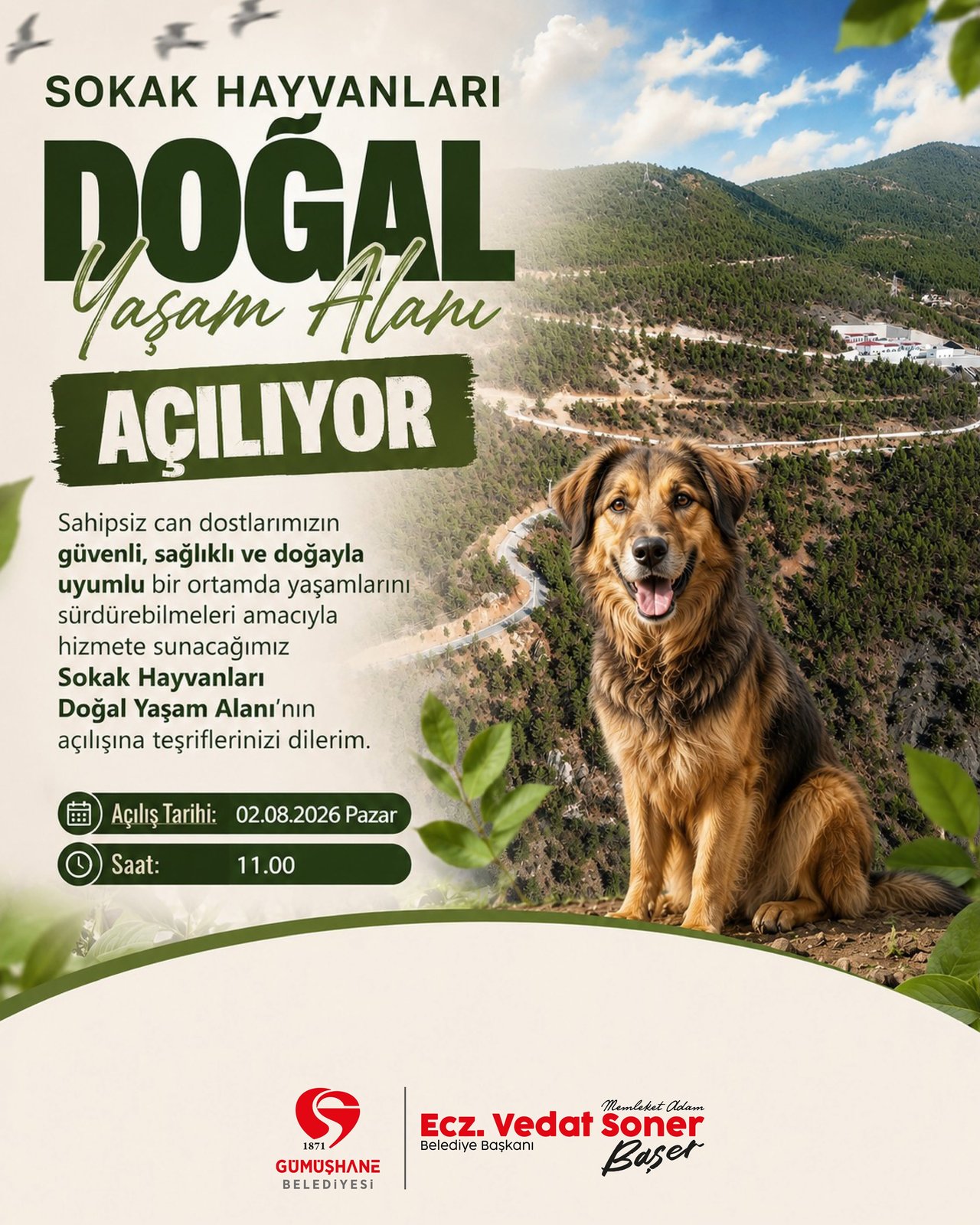 SOKAK HAYVANLARI DOĞAL YAŞAM ALANIMIZ AÇILIYOR