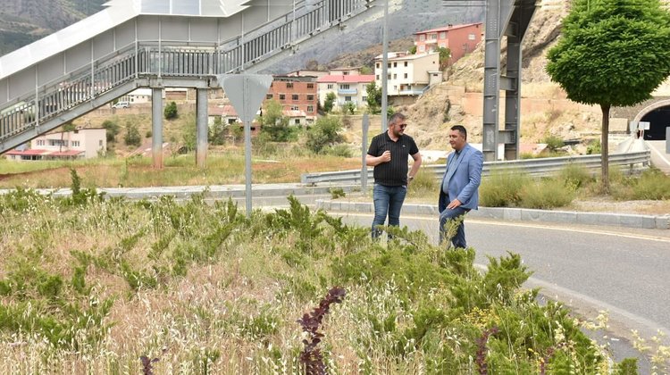 BAŞKANIMIZ ÇAMLICA MAHALLEMİZDE İNCELEMELERDE BULUNDU